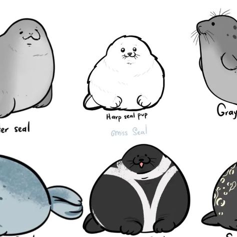 How To Draw A Seal, Seal Drawing Cute, Seal Character Design, Seal Fursona, Seal Oc, Seal Drawing, Cute Seals, Oc Inspo, Fandom Funny