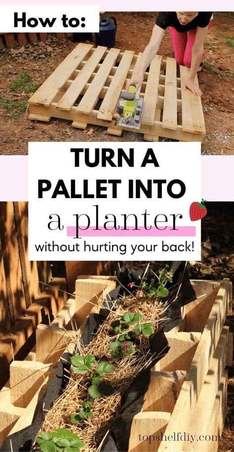 Wooden Pallet Planter Boxes, Pallet Planter Boxes Diy, Pallet Flower Boxes, Pallet Flower Box, Pallet Planter Diy, Building Planter Boxes, Plant Strawberries, Pallet Planter Box, Wood Pallet Planters