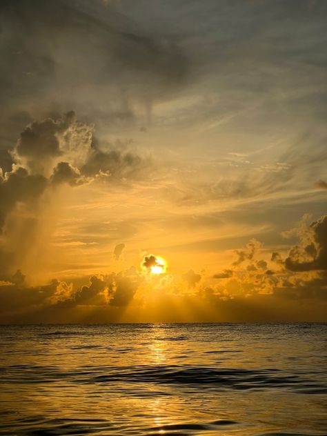 orange, yellow, sun, sunrise, beach, ocean, florida, florida sun, south florida Yellow Sunrise Aesthetic, Yellow Beach Aesthetic, Beach Golden Hour, Orange Sunsets, Sunrise Swim, Yellow Sunrise, Yellow Ocean, Yellow Photography, Sun Aesthetic