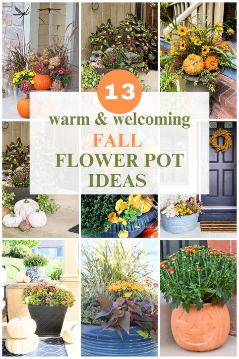 13 Festive Fall Flower Pot Ideas You’ll Love! Pumpkins Spilling Out Of Basket, Fall Flower Pot Ideas, Fall Pots Outdoor Planters, Pumpkin Flower Pots, Fall Flower Pots, Fall Container Plants, Flower Pot Ideas, Fall Pots, Potted Mums