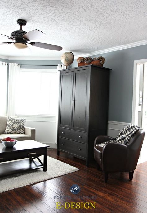 Sherwin Williams Network Gray with black armoire and cherry toned red laminate flooring in living room with white trim. Kylie M Interiors E-design and Online consulting - edecor Sherwin Williams Network Gray, Network Gray, Benjamin Moore Grey Owl, Kylie M Interiors, Best Gray Paint, Best Gray Paint Color, Stonington Gray, Hallway Paint, Ideas Entryway