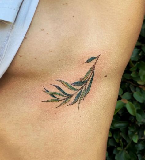 Willow Branch Tattoo, Weeping Willow Tattoo, Willow Tattoo, Cicada Tattoo, Abdomen Tattoo, Tree Tattoo Meaning, Tree Branch Tattoo, Small Rib Tattoos, Bestie Tattoos