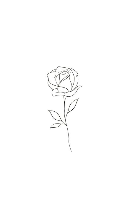 Sketch Rose Tattoo, Rose Tattoo Line Art, Linear Rose Tattoo, Rose Fine Line Tattoo Design, Fineline Rose Tattoo Design, Minimalist Rose Drawing, Rose Pedal Tattoo, Open Rose Tattoo, Single Line Rose Tattoo