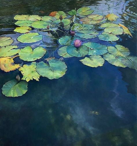 Pond Birds Eye View, Lily Pads Painting, Lily Pad Art, Lily Pond Painting, Water Scape, Water Lily Art, Pond Art, Lily Pictures, Water Lilies Painting