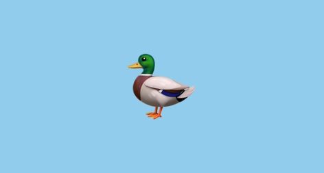 iPhone duck emoji Duck Emoji, Fb Page, Iphone, Quick Saves