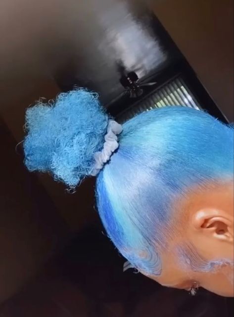 Blue 4c Hair, Blue Skunk Hair, Appearance Manifestation, Skl Hairstyles, Adore Hair Dye, Periwinkle Hair, Skunk Hair, Hair Colour Design, Skunk Stripe