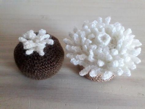 Crochet Sea Anemone, Crochet Coral Reef Pattern Free, Anemone Crochet, Marine Crochet, Ecosystems Activities, Crochet Aquarium, Crochet Realistic, Crochet Coral Reef, Hsc Art