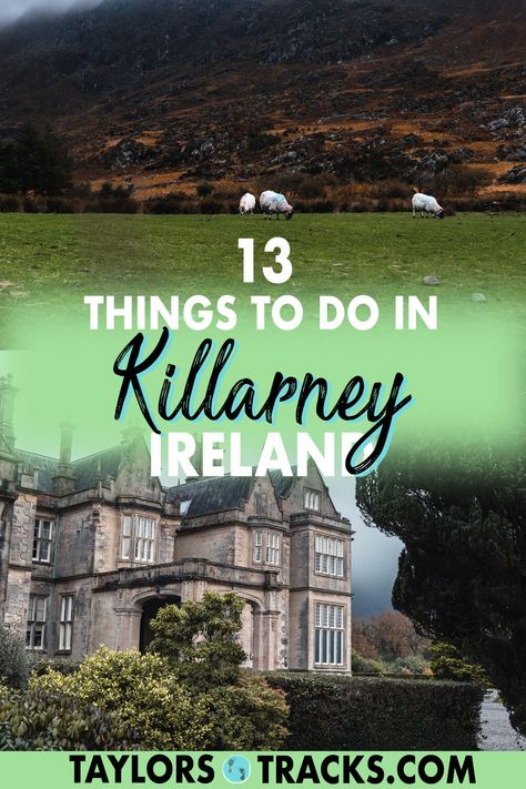 Ireland Killarney, Muckross House, Siam Park, Bucket List Europe, Ireland Honeymoon, Budget Trips, Killarney Ireland, Ross Castle, Travel Ireland