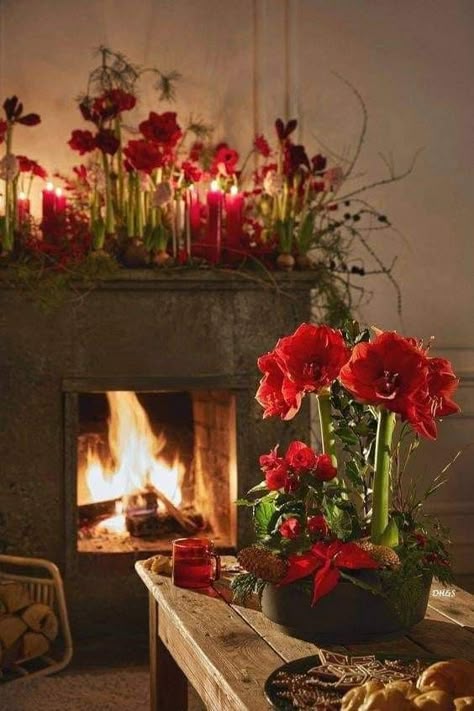 Amellye - Amaryllis🎄🌺-(Pinterest)... December Magic, Christmas Homes, Christmas Fireplace Mantels, Outdoor Christmas Planters, Lights For Christmas, Christmas Bouquet, Christmas Pots, Holiday Arrangement, Christmas Interiors