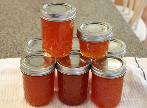 Hot Pepper Jelly (Plain or Pineapple-Pumpkin) Apple Pepper Jelly, Pepper Jelly Recipes, Cream Cheese Spread, Hot Pepper Jelly, Ritz Cracker, Pork And Cabbage, Cooking Pumpkin, Hot Peppers, Pepper Jelly