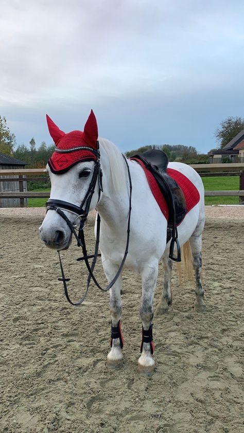 Le Mieux Equestrian, Lemuix Sets, Lemieux Set, Horse Art Ideas, Horse Outfits, Horsey Life, Dream Horse Barns, Horse Riding Outfit, Equestrian Aesthetic