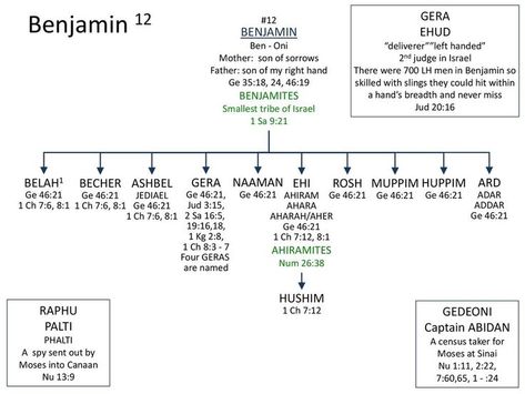 Benjamin Son of Jacob Biblical Family Tree, Noah Family Tree, Moses Family Tree, Old Testament Family Tree, Jacob Family Tree Bible, Bible Family Tree, Quick View Bible, Sons Of Jacob, Torah Study