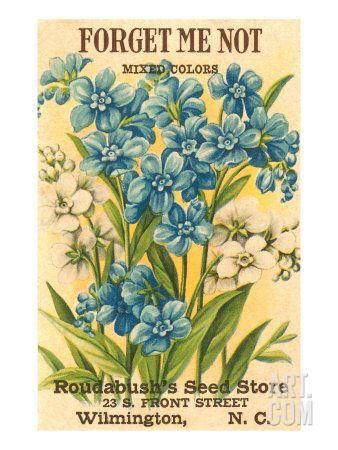 Forget Me Not Seed Packet Art Print at Art.com Garden Seeds Packets, Forget Me Not Seeds, Images Noêl Vintages, Seed Art, Vintage Seed Packets, Flower Seeds Packets, Etiquette Vintage, Seed Packaging, Seed Pack