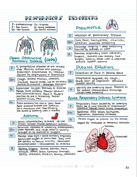 Respiratory Therapy Nursing Care Med-Surg Asthma Study Notes, Pleural Effusion Nursing, Pneumonia Notes, Atelectasis Nursing, Asthma Nursing Notes, Pneumonia Nursing Notes, Asthma Notes, Nremt Study Guide, Asthma Pathophysiology