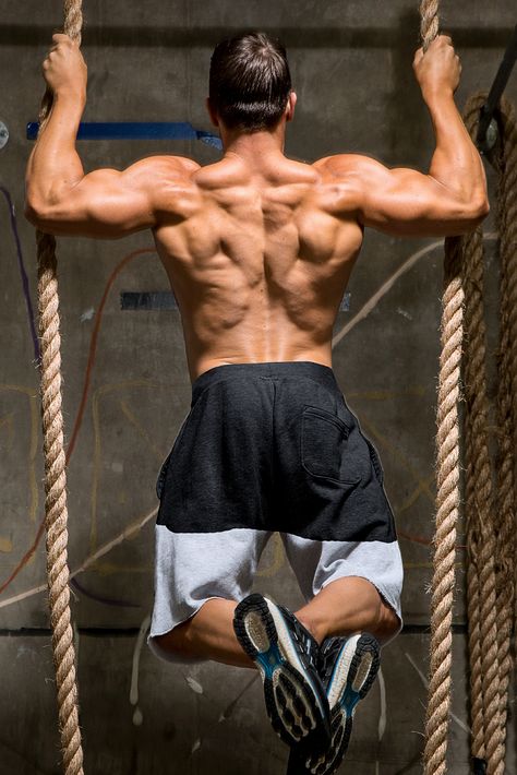 How beginners can build a massive back - Guide discusses the back, its function, and exercises. Try these 5 great back workout programs for size. Man Back Muscles, Back Muscle Reference, Muscular Back Male, Men Back Reference, Back Physique, Bodybuilder Back, Back Workout Program, Back Workout For Mass, Workout Pose