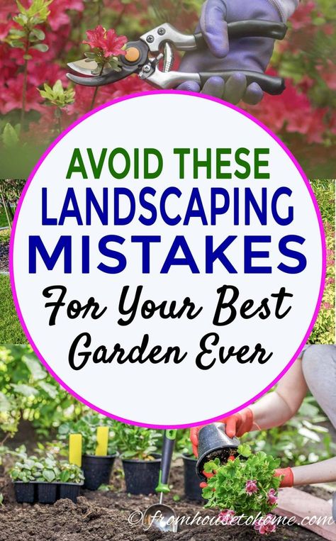 #fromhousetohome #gardeningtips #gardening #gardenlandscaping  #gardeningforbeginners #gardens Garden Wallpaper, Landscaping Supplies, Spring Plants, Landscaping Tips, Buy Plants, Seasonal Garden, Best Garden, Gardening For Beginners, Lawn And Garden