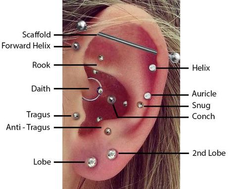 Top Ear Piercings placements / Diagram: – BMG Body Jewellery *Lobes, Helix/Rim, Auricle, Conch, Tragus, Ear Piercing Diagram, Ear Piercing Names, Piercing Facial, Top Ear Piercing, Different Ear Piercings, Ear Peircings, Types Of Facials, Ear Piercings Chart, Piercing Chart