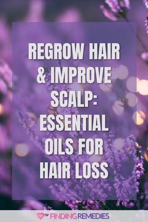 Regrow Hair & Improve Scalp: Essential Oils for Hair Loss Best Essential Oils For Hair And Scalp, Regrow Hair Naturally, Thyme Essential Oil, Strengthen Hair Follicles, Scalp Conditions, Regrow Hair, Scalp Oil, Essential Oils For Hair, Cedarwood Essential Oil