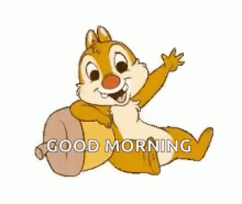 Good Morning Disney GIF - Good Morning Disney Squirrel - Discover & Share GIFs Good Morning Kiss Gif, Good Morning Disney, Hi Gif, Animiertes Gif, Disney Chip, Good Morning Love Gif, Good Morning Coffee Gif, I Love You Gif, Chip N Dale