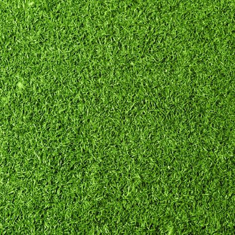 Cómo eliminar las malas hierbas del césped Dog Potty Area, Artificial Grass Rug, Grass Rug, Step Treads, Lawn Alternatives, Grass Background, Types Of Grass, Carpet Stair Treads, Dog Potty