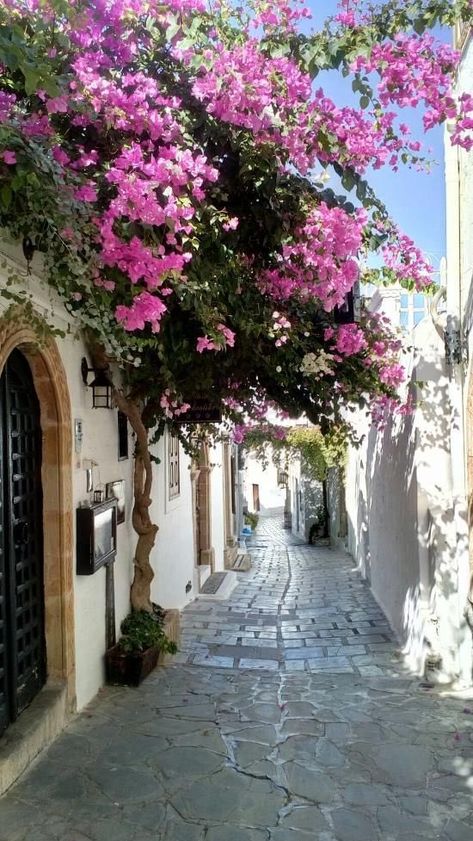 Home / Twitter Flowers On Buildings, Greek Buildings, Home Gardening Ideas, Rhodes Greece, Home Gardening, Beautiful Streets, Beautiful Villages, A Town, Bougainvillea