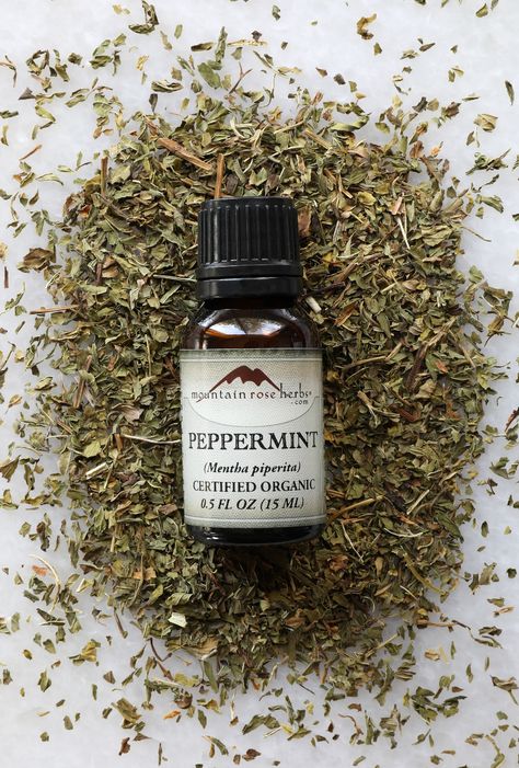 7 Creative Ways to Use Peppermint Essential Oil Holistic Nurse, Holistic Nursing, Oils For Scars, Essential Oils Diy, Diy Essential Oil Recipes, Mountain Rose Herbs, Simmer Pot, Minty Fresh, Magical Herbs