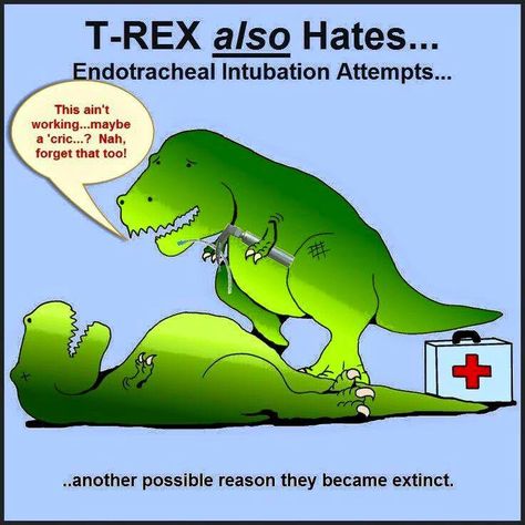 T-Rex also hates ET intubation attempts...another possible reason they became extinct. Respiratory Therapy Memes Funny, Respiratory Humor, Medische Humor, Crude Humor, Paramedic Humor, Therapist Humor, Ems Humor, Shrek Memes, Cardiopulmonary Resuscitation