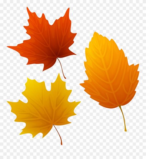 Fall Leaves Images, Leaf Clip Art, Leaves Clip Art, Seasons Activities, Clip Art Library, Fall Images, Leaf Clipart, Clip Art Png, Fall Leaf