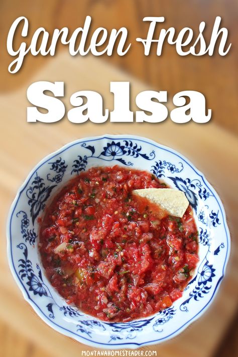 bowl of garden fresh homegrown homemade salsa made with our family's favorite recipe using tomatoes peppers onions garlic cilantro and lime Fresh Garden Salsa, Garden Salsa Recipe, Garden Fresh Salsa, Salsa Garden, Garden Salsa, Fresh Mango Salsa, Fresh Salsa Recipe, Homemade Garden, Spanish Foods