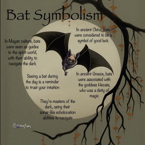 Bats In Witchcraft, Bat Spiritual Meaning, Bat Spirit Animal Meaning, Bat Symbolism, Animal Omens, Night Creatures, Spirit Animal Meaning, Creature Of The Night, Animal Spirit Guides