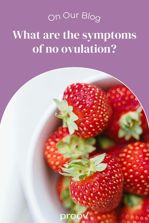 Ovulation is a critical piece of the pregnancy puzzle. Understanding the symptoms of no ovulation and how to test for it will help you conceive faster. Learn more about how Proov can help on our blog! Holistic Fertility, Fertility Yoga, Fertility Awareness, Natural Fertility, Trying To Conceive, Hormone Balancing, Fertility