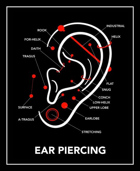 TYPES of BODY PIERCING : ——————————————————————— • EAR PIERCING - Searching - Earlobe - Upper Lobe - Low-Helix - Conch - Snug - Flat - Helix - Industrial - Rook - For-Helix - Daith - Tragus - Surface - A-Tragus • NOSE PIERCING - Septum - Nostril - Austinbar - Highnostril - Bridge - Thrid • LIP-ORAL PIERCING - Lambert - Ver-Lambert - Snake Bite - Spider Bite - Shark Bite - Dahlia - Vampire - Snake eyes - Tungue - Smiley - Medusa - Monroe • FACIAL PIERCING... Snake Bites Lip Piercing, Snake Piercing, Facial Piercing, Septum Nostril, Upper Lip Piercing, Spider Bite, Upper Lobe, Snake Bite, Spider Bites