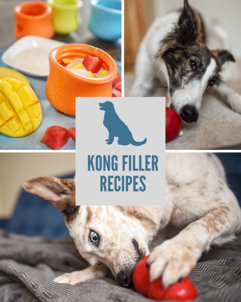 Kong Fillers Stuffing Recipes, Low Fat Dog Treats, Kong Treats, Kong Stuffing, Kong Recipes, Kong Dog Toys, Dog Treat Toys, Fat Dogs, Puppies Tips