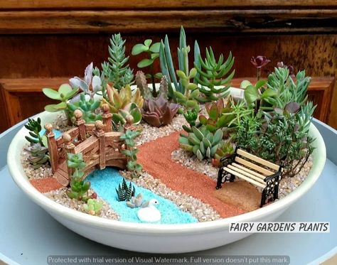 A Soft and Lush Carpet for Your Fairy Glade | Plant pot painting ideas | Garden decor | Home decor Mini Cactus Garden Cacti And Succulents, Cactus Garden Pot, Miniature Succulent Garden, Miniature Gardens Design Ideas, Miniature Garden Ideas, Mini Garden Ideas, Jardin Zen Miniature, Succulent Fairy Garden, Miniature Garden Design