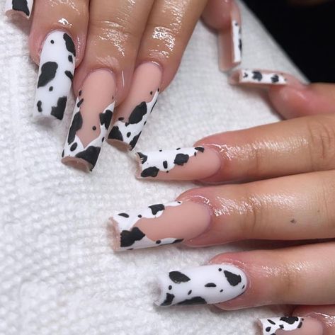 👑 (@bxddienails) posted on Instagram: “cow print nails 🐄 which ones would you get? 💅🏼 • • • #nails #hotgirlnails #baddienails #baddies #gelnails #nailsofinstagram #nailsonfleek…” • Nov 14, 2021 at 4:43am UTC Cow Print Nails, Fingernail Art, Cow Nails, Nails Matte, Print Nails, Get Nails, Bear Wallpaper, Fire Nails, Nail Games