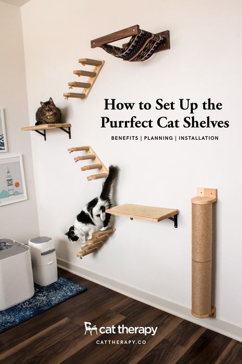 Cute Cat Climbing Wall, Cat Wall Small Space, Indoor Cat Shelves, Home Decor For Cats, Cat Furniture Wall Shelves, Cat Wall In Bedroom, Cat Wall Toys, Cat Wall Climbing Ideas, Cat Wall Shelves Bedroom