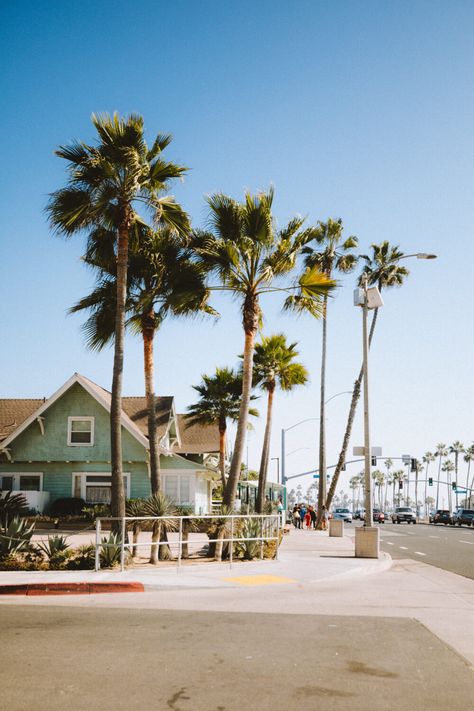 Orange County Aesthetic, Backyard Extension, Southern California Aesthetic, California Orange County, Orange County Beaches, Pacific Coast Road Trip, Pacific Coast Highway Road Trip, Oc California, California Nature