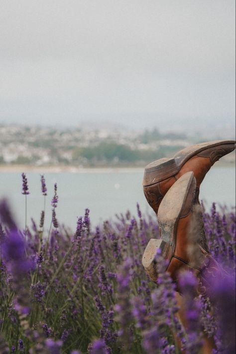 Country Purple Aesthetic, Purple Country Aesthetic, Purple Western Aesthetic, Purple Cowgirl Aesthetic, Cowboy Boot Photography, Flowers In Boots Photography, Cowboy Boots In The Air, Cowboy Boots Aesthetic, Lavender Farm Photoshoot