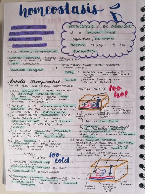 Biology Revision Gcse Infection And Response, Aqa Gcse Combined Science, Homeostasis Biology Notes Gcse, Biology Homeostasis Notes, Aqa Gcse Science Revision Notes, Biology Flashcards Gcse, Igcse Ict Notes, Coordination And Response Biology Notes, Science Revision Notes Chemistry