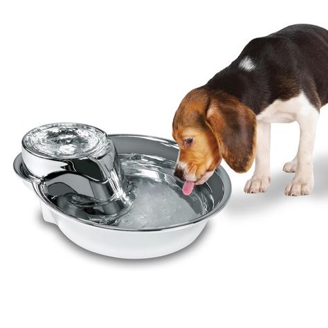 Pet fountains help your animals to drink more water because they are attracted to moving water. In the past the only option you had for an automatic pet fountain was a plastic one. Now finally there is a stainless steel pet drinking fountain that looks like it belongs in your kitchen. There has never been a pet fountain that looks or works as well as this one does. Pet Drinking Fountain, Dog Texts, Elevated Dog Feeder, Dog Water Fountain, Pet Fountain, Cat Fountain, Moving Water, Drinking Fountain, Healthy Water