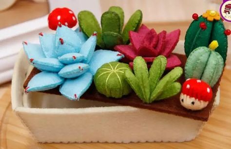 Cloth Craft, Sewing Set, Felt Succulents, Felt Flowers Diy, Plant Crafts, Cactus Diy, Felt Food, Succulent Plants, Nuno Felting