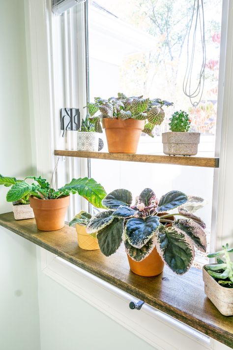 Diy Window Ledge Plant Shelf, Hanging Window Plant Shelf Diy, Window Ledge Plant Shelf, Window Sill Shelf For Plants, Indoor Window Plant Shelf, Diy Window Sill Plant Shelf, Diy Window Plant Shelf, Window Sill Plant Shelf, Plant Shelving