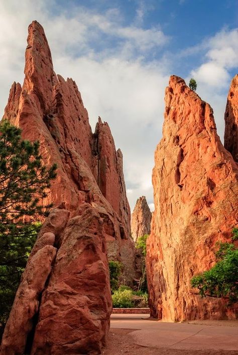 Garden Of The Gods Colorado, Road Trip To Colorado, Colorado Summer, Colorado Adventures, Garden Of The Gods, Colorado Vacation, Magic Garden, Garden Route, Colorado Travel