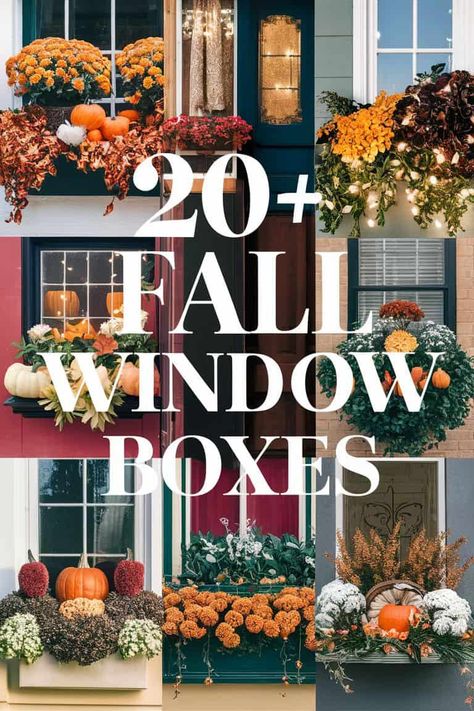 20+ Fall Window Boxes to Elevate Your Home Aesthetic Autumn Window Box Ideas, Mums In Window Boxes, Fall Window Boxes With Pumpkins, Fall Window Boxes Ideas, Fall Window Boxes, Fall Windows, How To Cook Lamb, Cabin Chic, Ornamental Kale