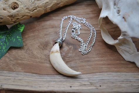 Boar Tusk, Tusk Pendant, Tooth Pendant, Animal Teeth, Tooth Necklace, Bone Horn, Retro Jewelry, Charm Necklaces, Tube Beads