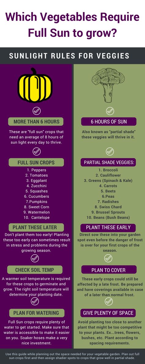 Veggie Garden Layout, Garden Planning Layout, Vegetable Garden Planner, Vertical Vegetable Garden, Small Vegetable Gardens, Garden Layout Vegetable, Comparison Chart, Garden Planner, Garden Types