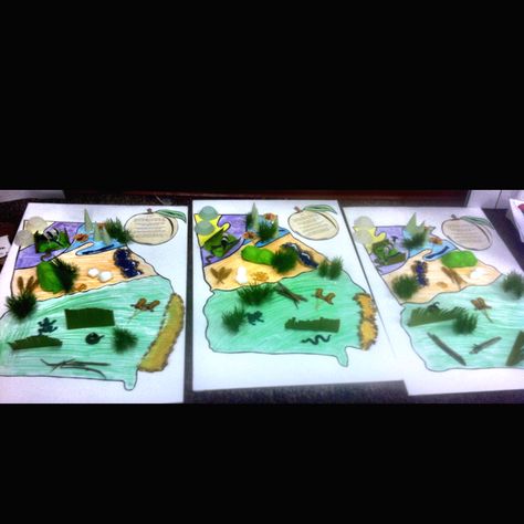 3D map of the regions of Georgia. The kids loved it! Georgia Habitats, 2nd Grade Crafts, Georgia Regions, Geography Project, Third Grade Social Studies, Georgia History, Social Studies Projects, 3rd Grade Social Studies, Map Projects