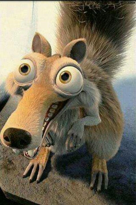 Scrat the squirrel from ice age movies Ice Age Squirrel, Ice Age Sid, Ice Age 4, Ice Age Movies, Blue Sky Studios, Wallpaper Disney, Septième Art, Disney Animals, Live Wallpaper Iphone