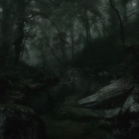 Gloomy Scotland, Gloom Core, Serenity Core, Dark Green Nature, Goblincore Fairycore, Dark Naturalism, Dark Forest Aesthetic, Dark Landscape, Earthy Aesthetic