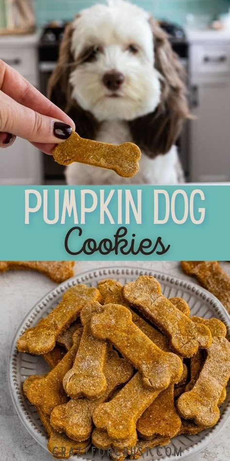 Dog Cookies Recipe Pumpkin, Peanut Butter Cookies For Dogs, Pumpkin Dog Cookies, Pumpkin Peanut Butter Cookies, Dog Cookies Recipe, Cookies For Dogs, Dog Cookie Recipes, Pumpkin Peanut Butter, Homemade Dog Cookies